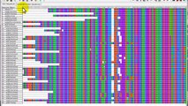 Editing sequence alignment using MEGA