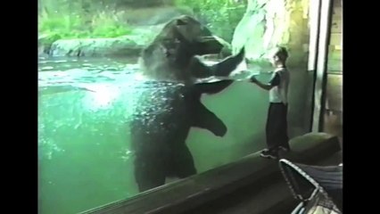 Bambino E Orso Diventare Amici