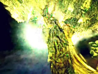 United We Thrive: Embracing Our One Family on Earth 🌍