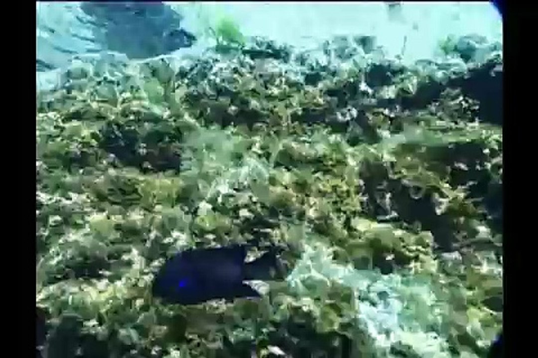 LAS CANTERAS, LAS PALMAS DE GRAN CANARIA