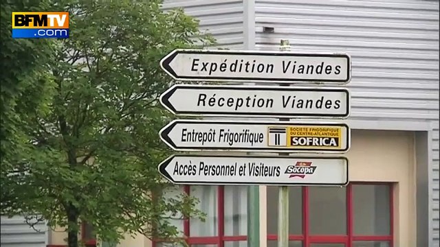 Crise de la filière porcine: une réunion cruciale lundi