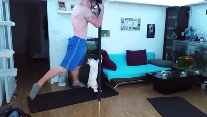 Chat fait du pole dance