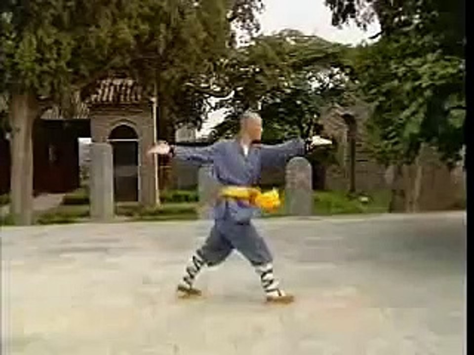 Shaolin Lian Huan Quan  少林连环拳 Small Linked Boxing