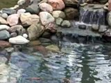 Backyard Koi Fish Pond in New Jersey w music
