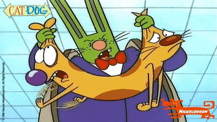 Cartoon Network Groovies Yogi Bear song