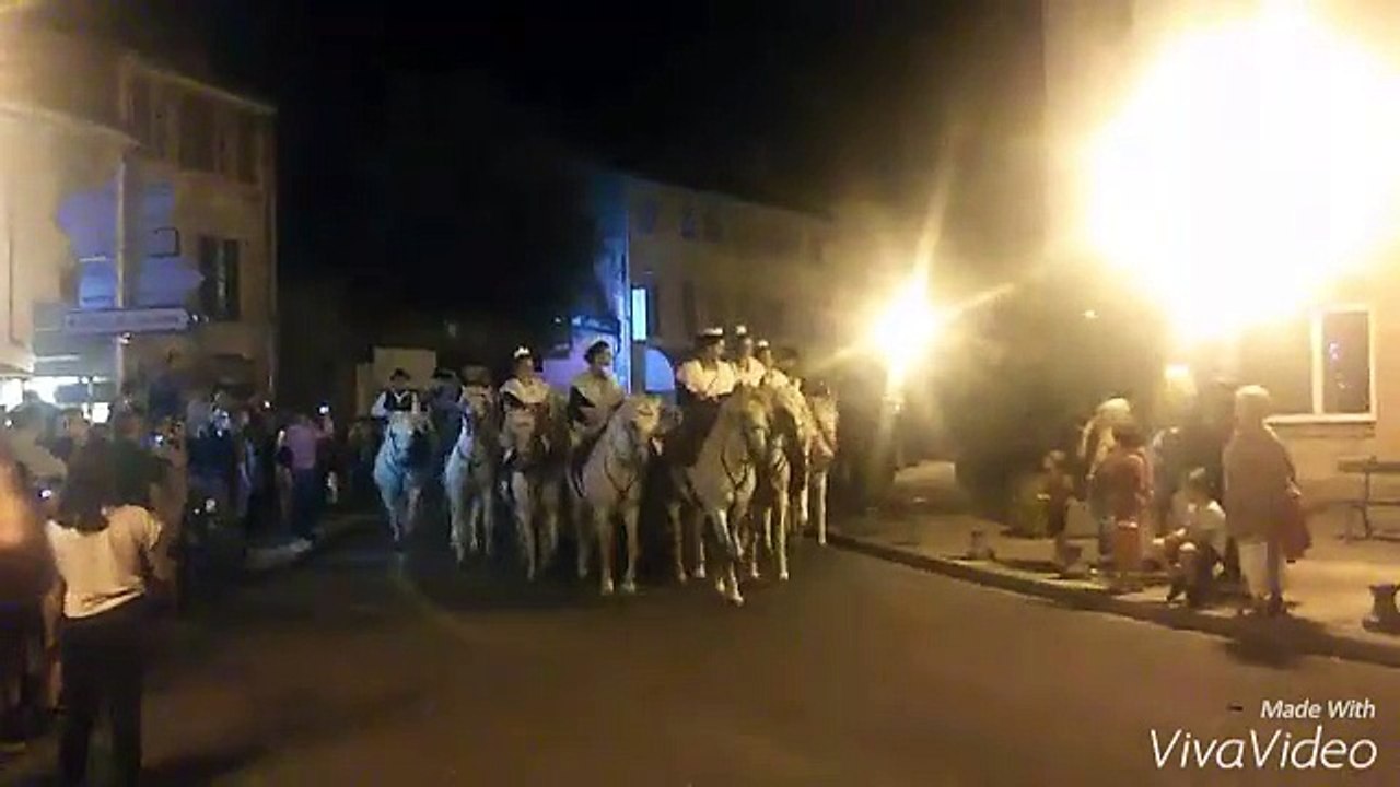 chevaux camargais feria 2015 St Remy de Provence