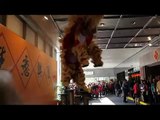 2011 chinese new year lion dance at metropark hotel HK pt 2
