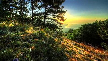 What would you want to do if money weren't an object?