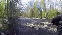 Brown trout flyfishing in Läsäkoski, Finland,  15.5.2015-17.5.2015