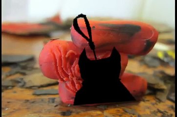 El gato negro - Edgar Allan Poe