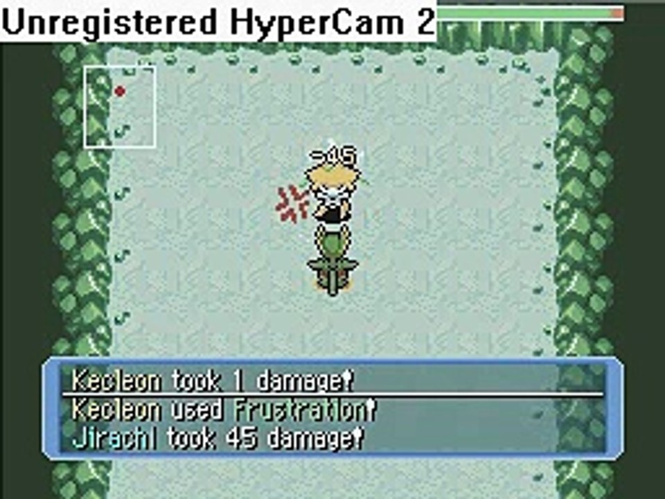 Wish Cave Getting a Wish Granted (Friend Area)