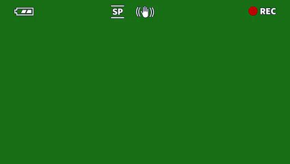 شركة رش مبيدات بالرياض | العطا