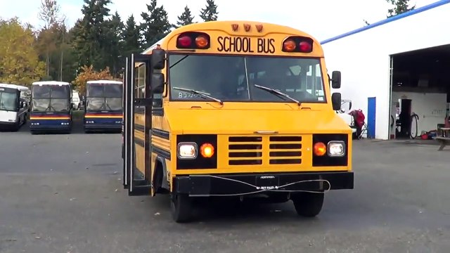 Northwest Bus Sales - 2001 Blue Bird Mini Bird 24 Passenger School Bus For Sale - B27255