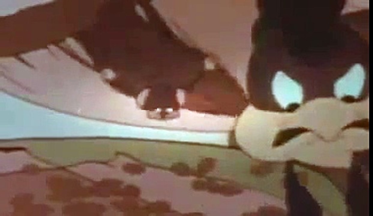 The Henpecked Rooster dessin anime francais, cartoons, woody woodpecker, watch funny clips