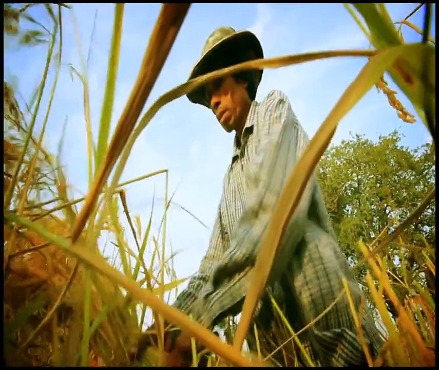 หนังสั้น ลูกชาวนา "FARMER" SHORTFILM 2012 BY KHOMSONFILM