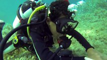 Scuba Diving with an AMAZING 8 year old
