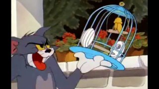 Tom and Jerry 063 The Flying Cat Cartoon  1951 HD