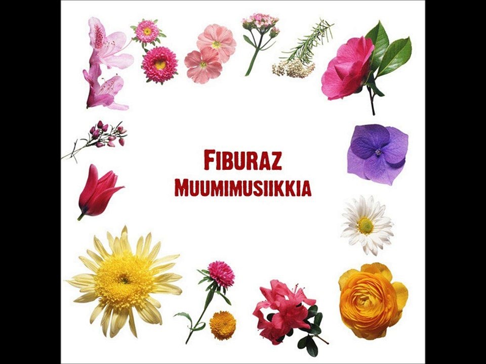 The Moomins Background Music 31