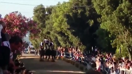 #164 BEST EPIC FAILS - WIN Compilation - BEST FUNNY VIDEOS - FUNNY FAIL August 2015
