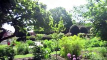 England Vlog Day 5; Shakespeare's Birthplace, City of Bath, & Stonehenge