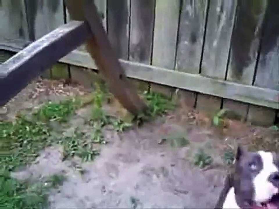 Southern Smoke Bullies Presents "Jaega" Razors Edge Gotti