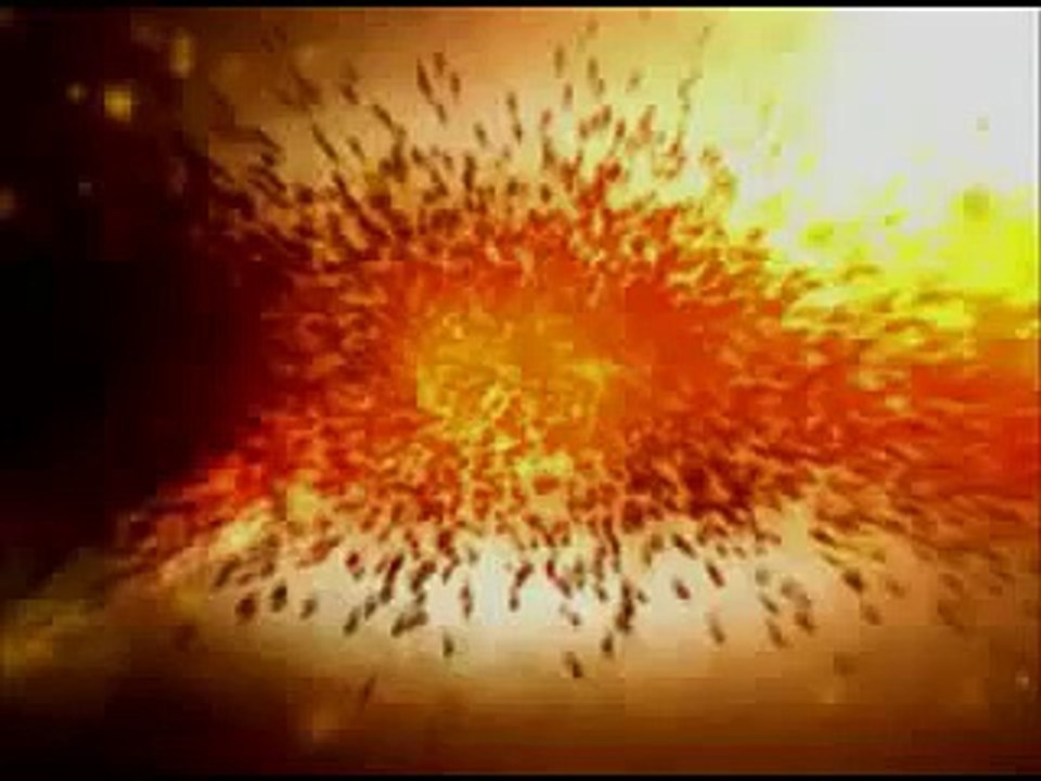 روشی ساده برای گل آرایی