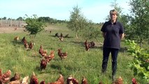 Meet happy egg co. farmer - Helen from Yorkshire