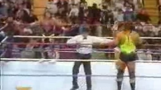 Survivor Series 1993 "Match" Part 2  video dailymotion