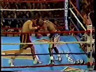 Chavez vs Taylor - Round 12