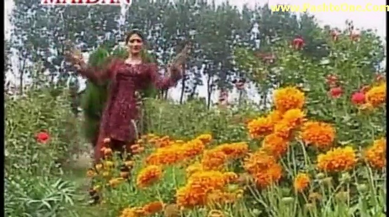 Pa Ma Ra Chof Da Meene Dam Ka Pashto New Sexy D...
