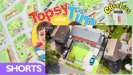 Topsy and Tim Series 2 Episode 11 Family Tree