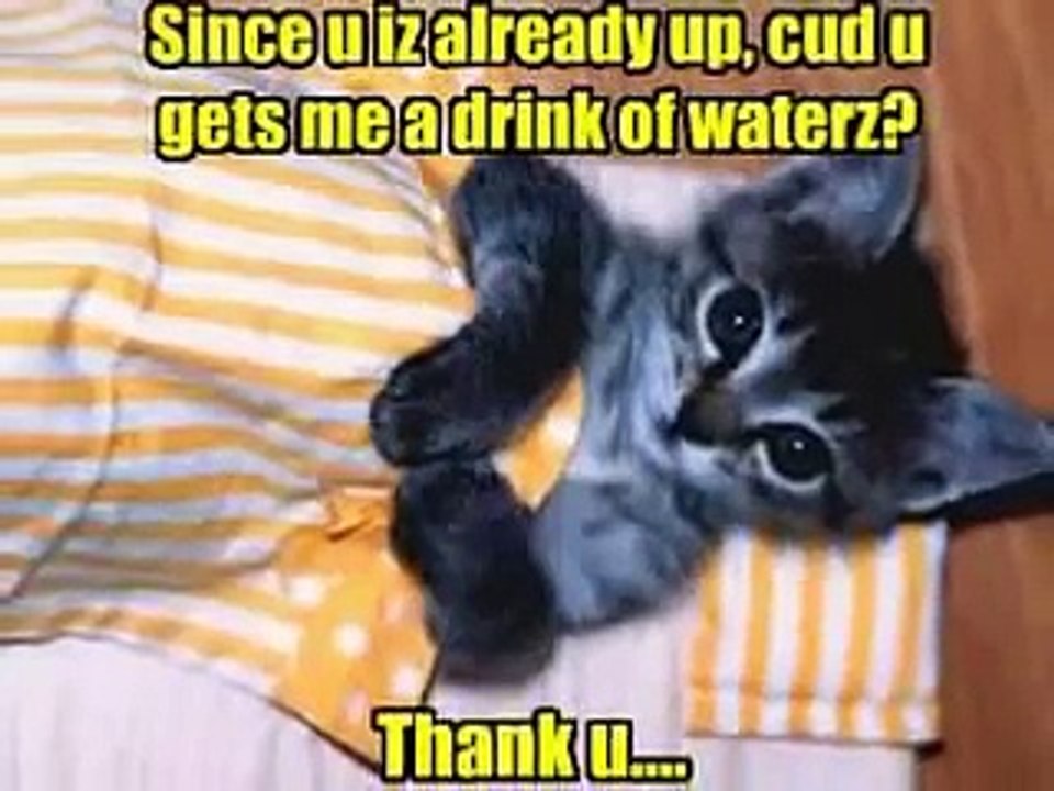 Happy Birthday TOM!!!! =^o^=