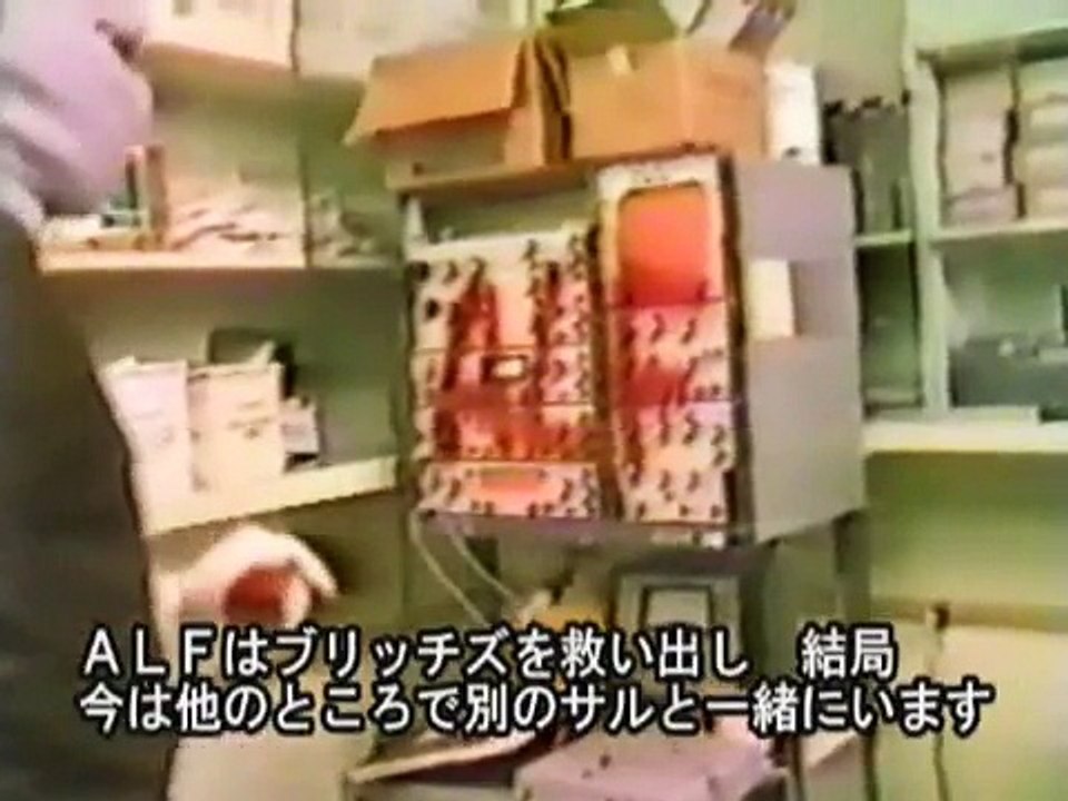 エグザイル　ウサギを殺す資生堂の商品を返品したい　pv2動物実験