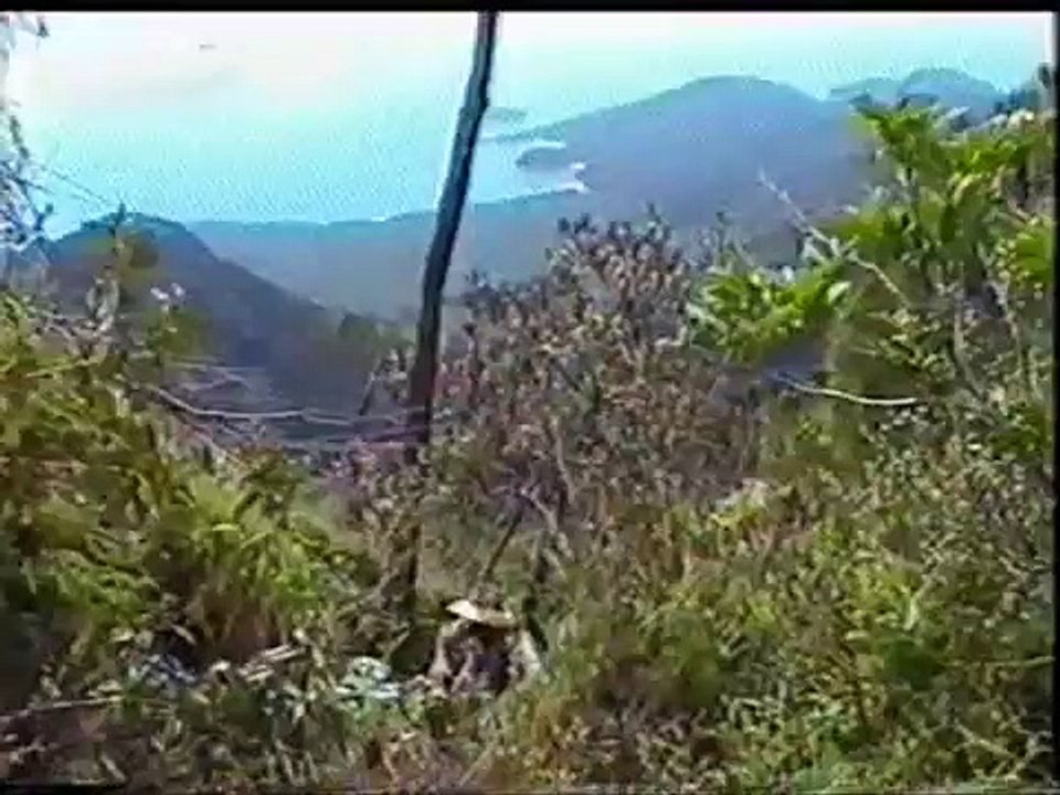 Mount Bowen Climb - Hinchinbrook Island