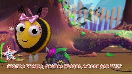 Cartoon The Hive Bee and Lalaloospsy Finger Family Collection | Family Nursery Rhymes for