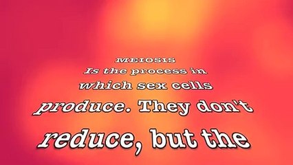 Meiosis Rap Song