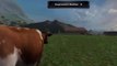 Landwirtschafts Simulator LS 2011 How Herding Cows