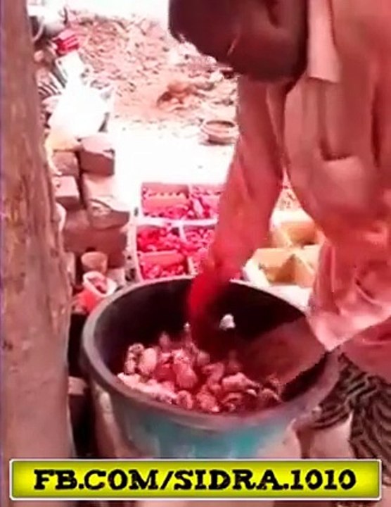 HOW DO THEY DYE COLORED CHICKENS