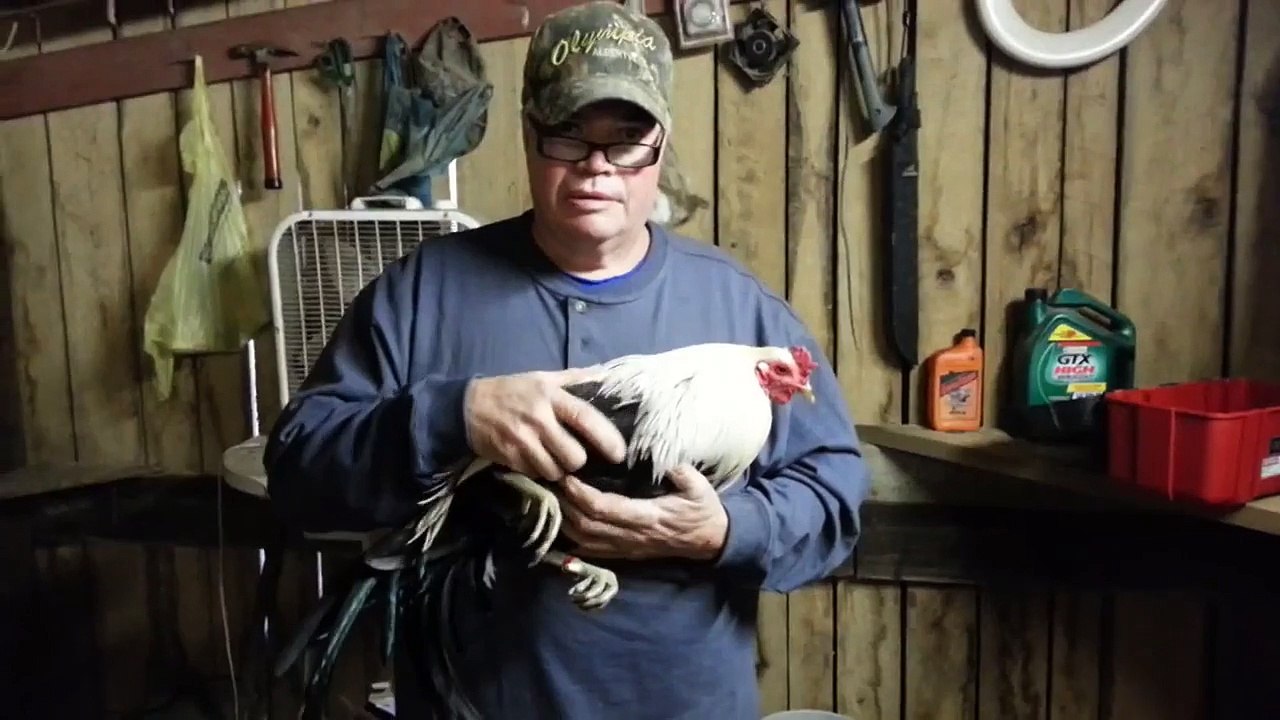 Landers Duke Hulsey Grey