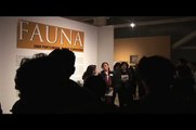 Fauna - Joan Fontcuberta y Pere Formiguera en el Museo Universitario del Chopo