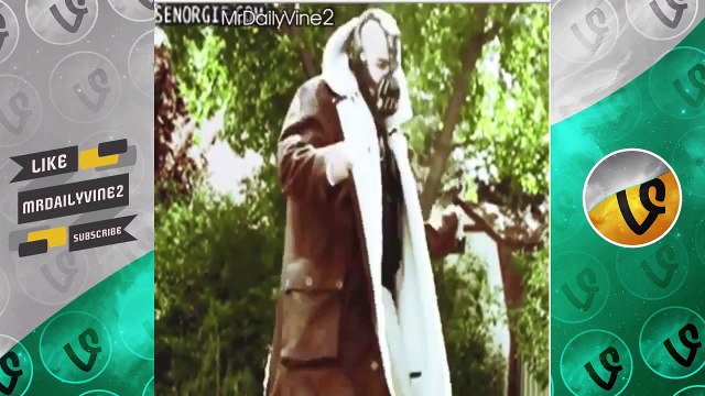 Gifs With Sound Vines Compilation | Funny Gifs Sounds Vine 2015