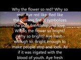 Why Is the Flower So Red 花儿为什么这样红