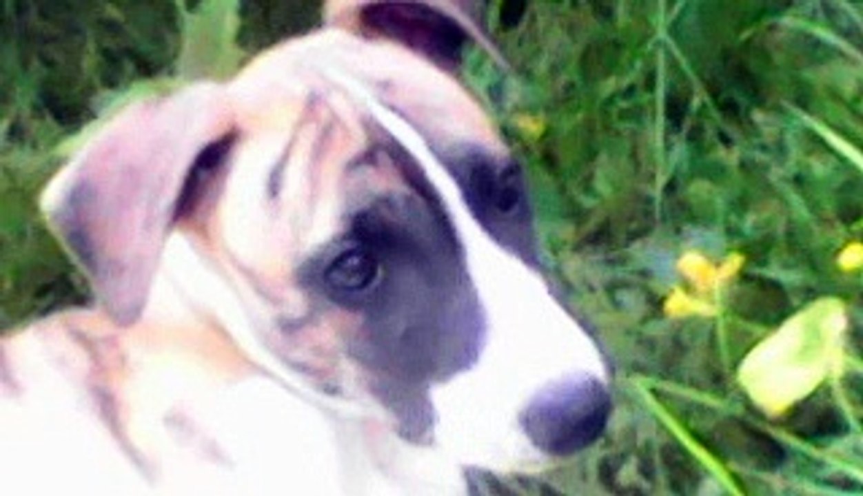 1er petit montage mon fils Lazaro