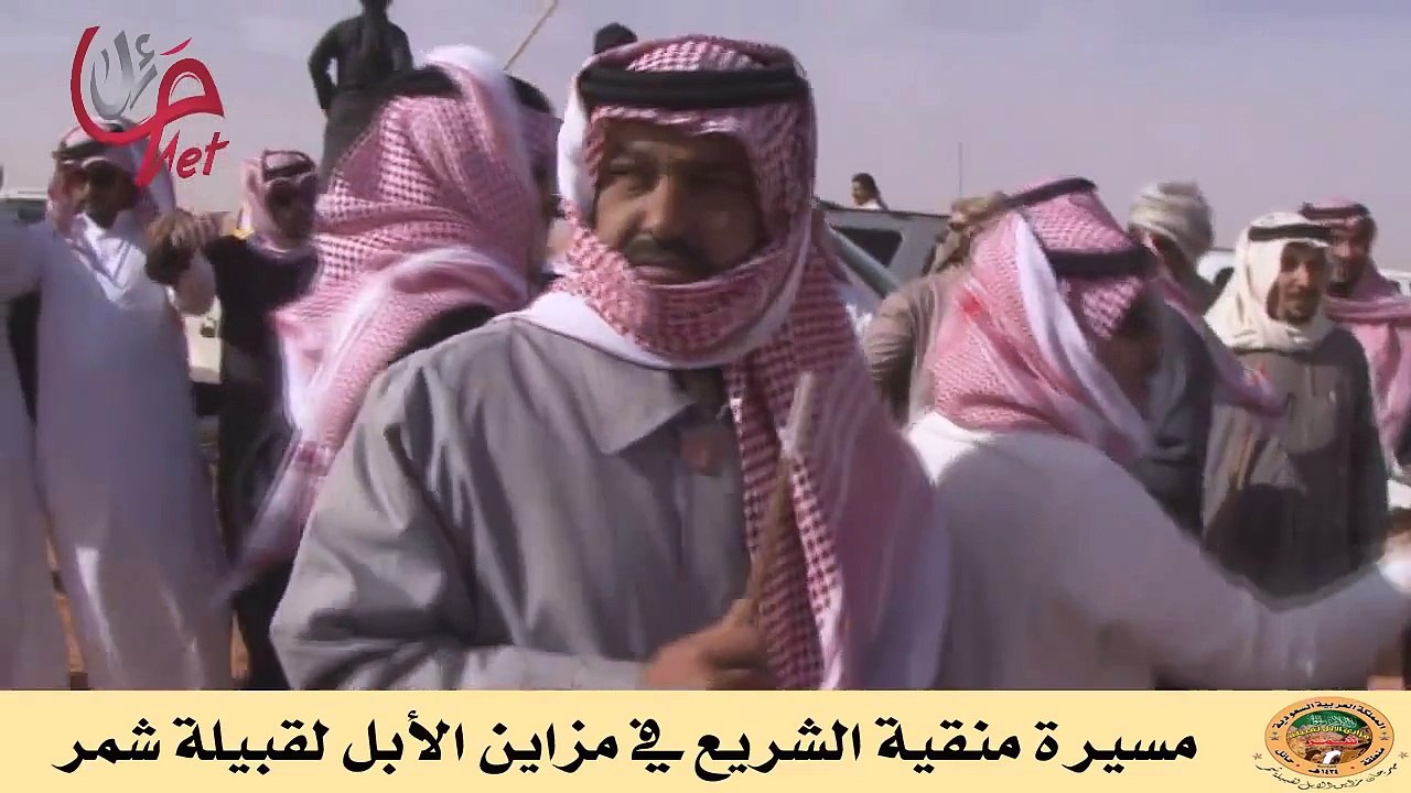 مسيرة منقية الشريع في مزاين الأبل لقبيلة شمر