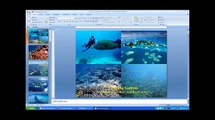 Reef Resilience Webinar: Helping Reef Practitioners Address Ocean Acidification