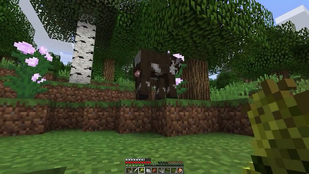 Minecraft Survival Home Is Where Your Chest Is #03 "Minecraft Survival"