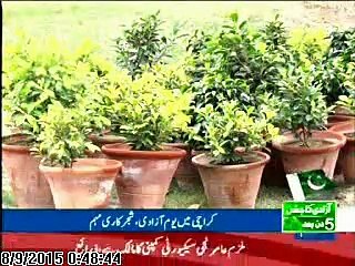 Monsoon Tree Plantation Organized be NFEH at Mazar-e-Quaid on August 08, 2015