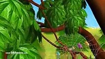 Incy Wincy Spider Nursery Rhyme   Itsy Bitsy Spider    3D Animation Rhymes & Songs For Children