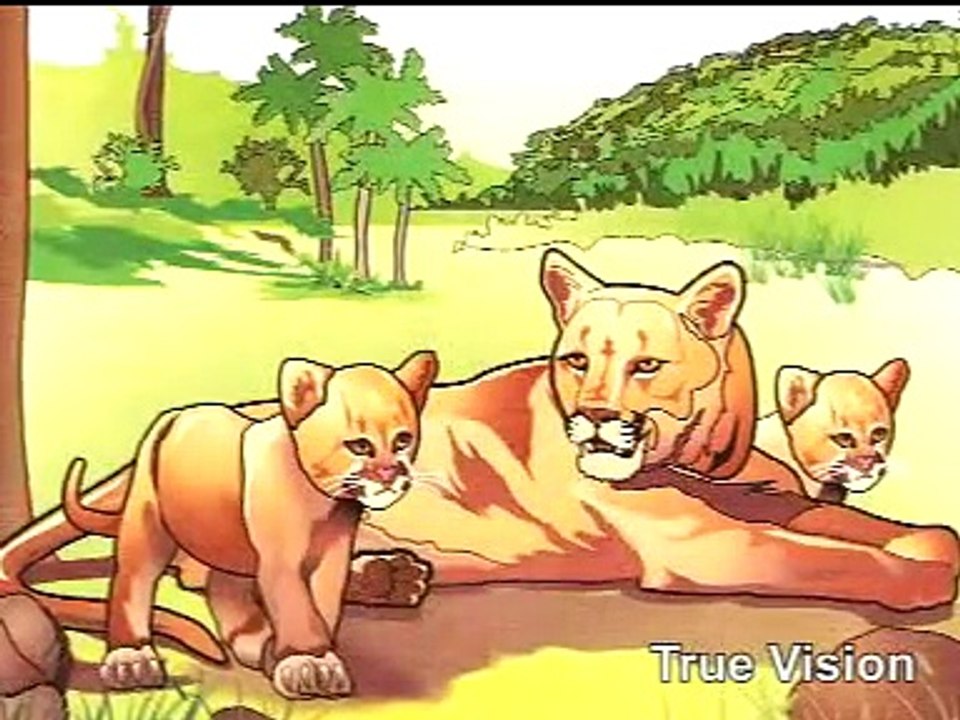 Urdu Cartoon Kahani: Kahil Shair