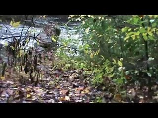 Lost Settlements of the Appalachian Mountains Part 2: History, Wilderness of the Appalachians